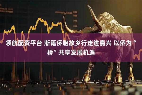 领航配资平台 浙籍侨胞故乡行走进嘉兴 以侨为“桥”共享发展机遇